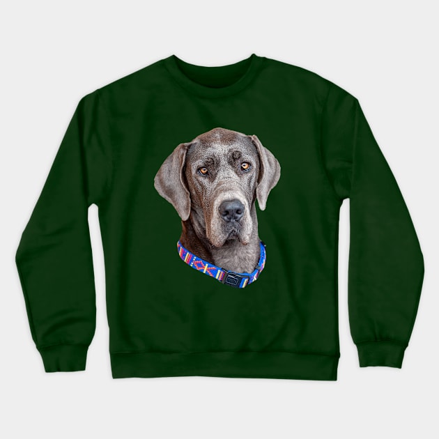 Head of a Blue Great Dane Crewneck Sweatshirt by dalyndigaital2@gmail.com